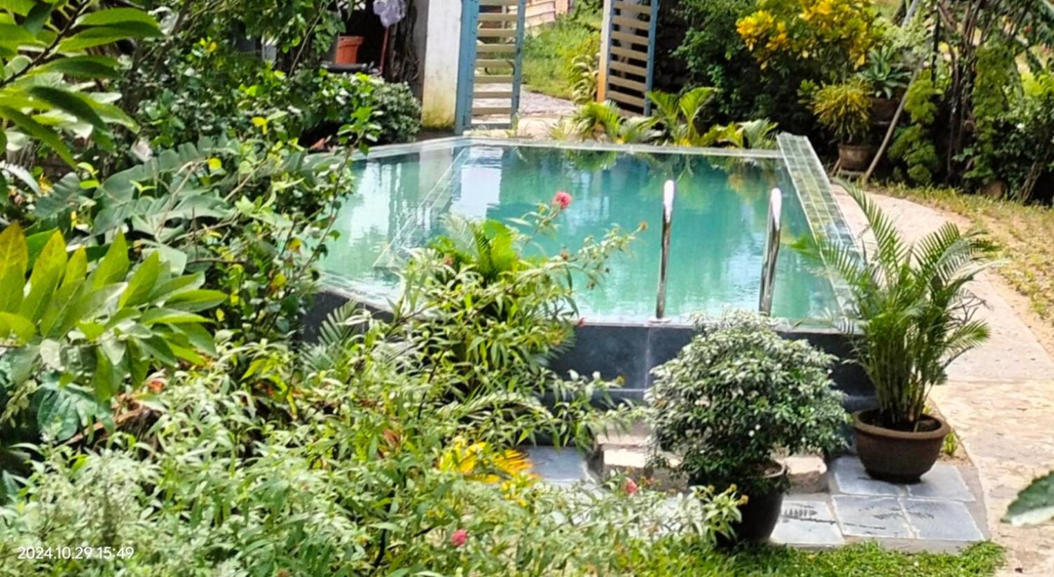 Bed and Breakfast La Terrazza Hoi An Esterno foto
